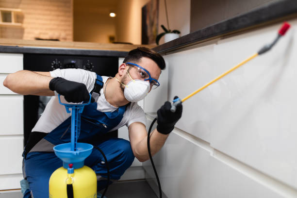 Wildlife Control Services in Mineola, TX