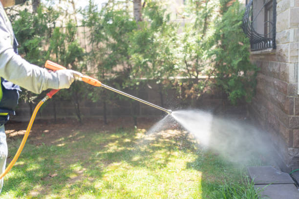 Best Residential Pest Control  in Mineola, TX